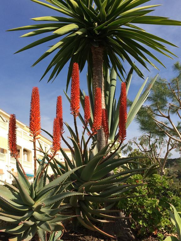 Apartamento Residentie Montesol Torrox Exterior foto